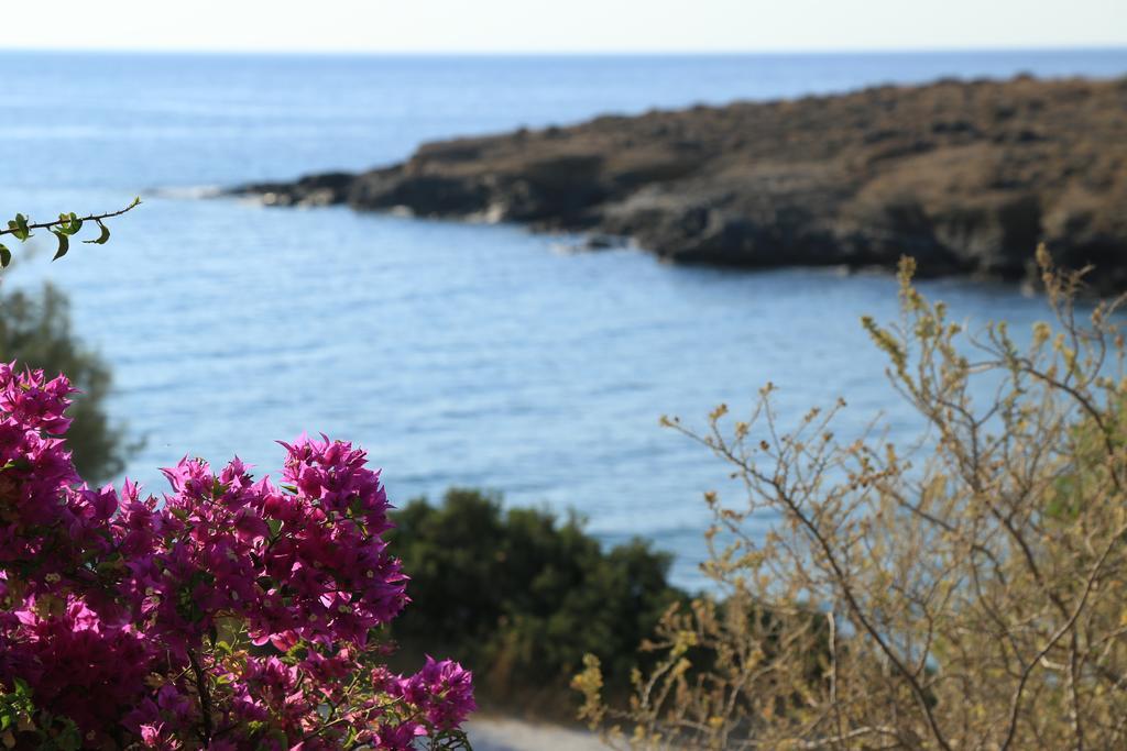 Agerino Διαμέρισμα Μουτσούνα Εξωτερικό φωτογραφία